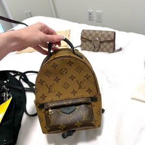 Louis Vuitton- Palm Springs mini backpack authentic with box